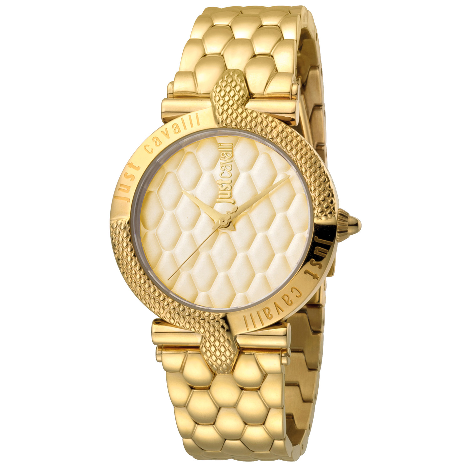 Just Cavalli Watch JC1L047M0065 Carattere